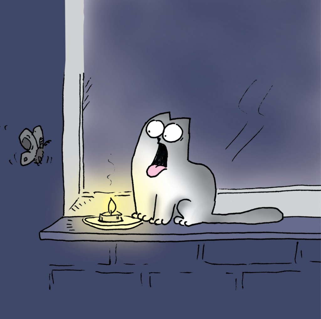 Que_fome_Simon's Cat_2 72